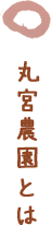 丸宮農園とは